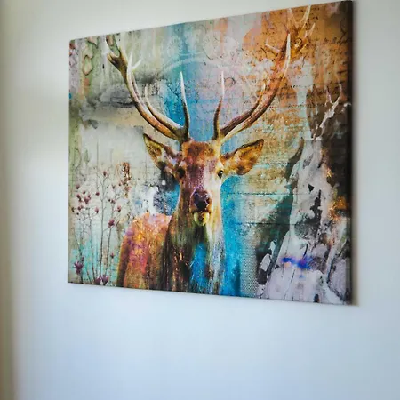 Panoramaglueck * 바드고이세른